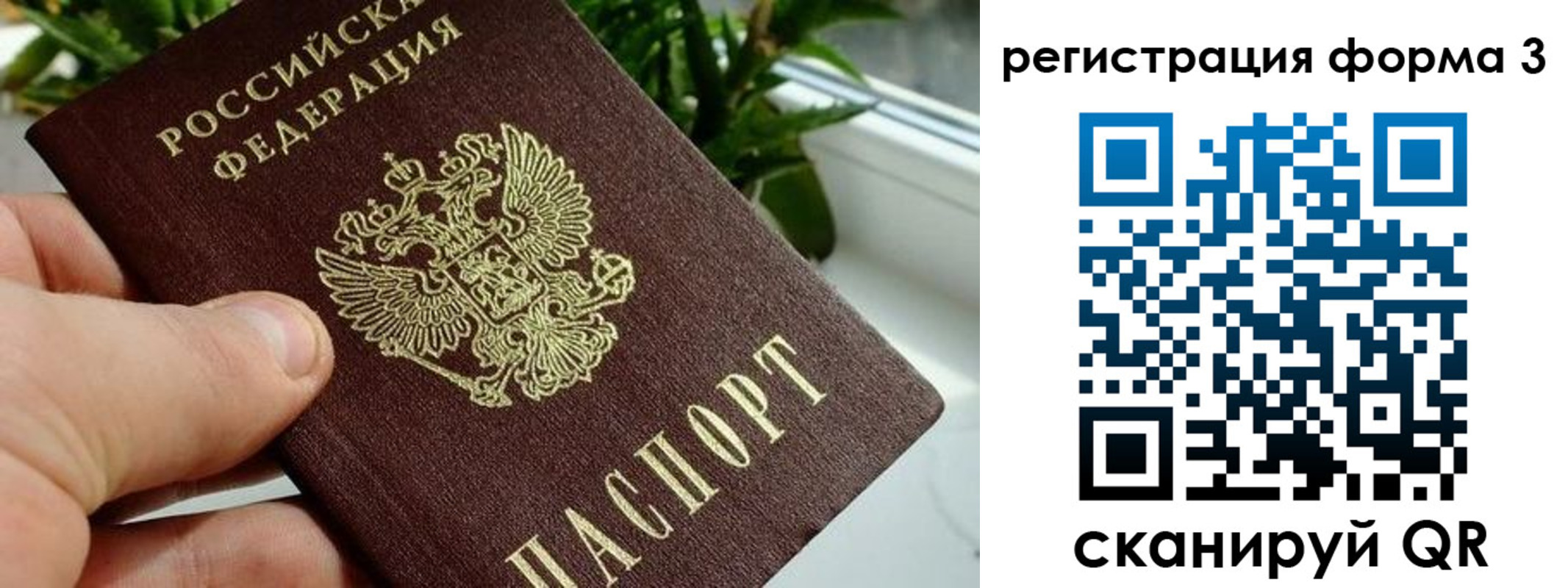 прописка штамп в Волжске
